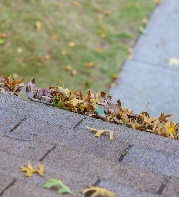 dirty-roof-with-gutter-with-leaves-requiring-clean-2023-11-27-05-05-15-utc