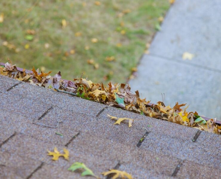 dirty-roof-with-gutter-with-leaves-requiring-clean-2023-11-27-05-05-15-utc dirty-roof-with-gutter-with-leaves-requiring-clean-2023-11-27-05-05-15-utc