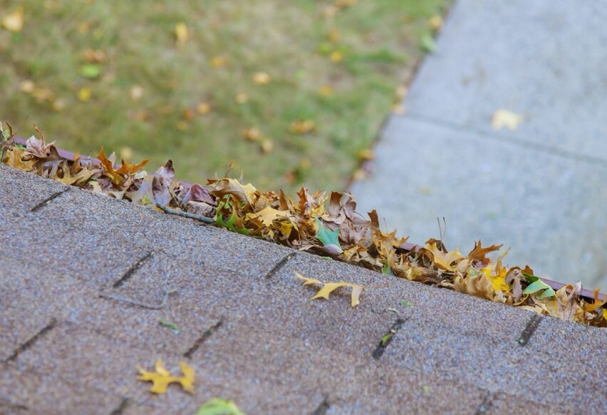 dirty-roof-with-gutter-with-leaves-requiring-clean-2023-11-27-05-05-15-utc