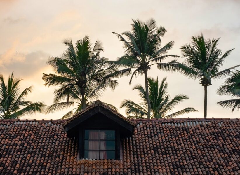 oriental-tradition-tile-roof-top-against-palm-tree-2023-11-27-05-31-32-utc