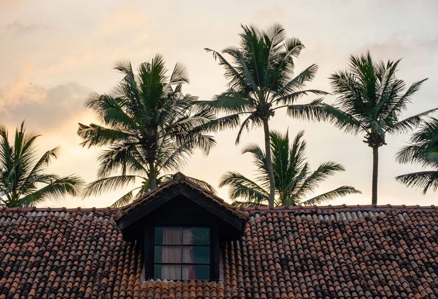 oriental-tradition-tile-roof-top-against-palm-tree-2023-11-27-05-31-32-utc